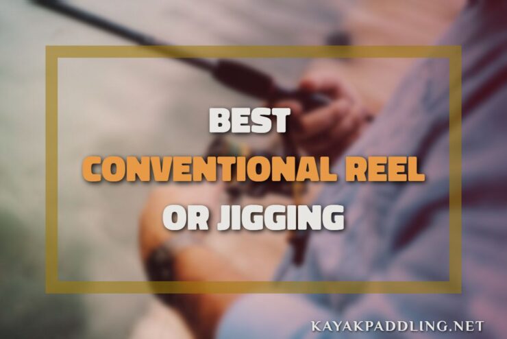 Best Conventional Reel for Jigging