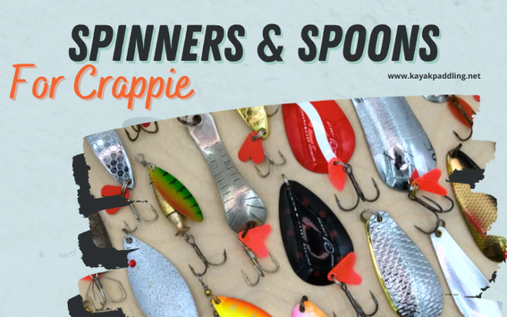 Melhores Spinners e colheres para tipo de peixe