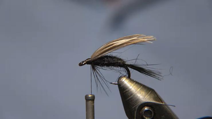 Black Gnat Dry Fly