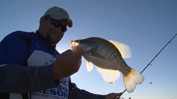 Crappie fiskevann