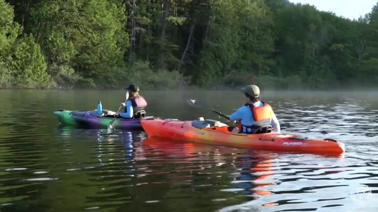 Kayaks de randonnée à la journée