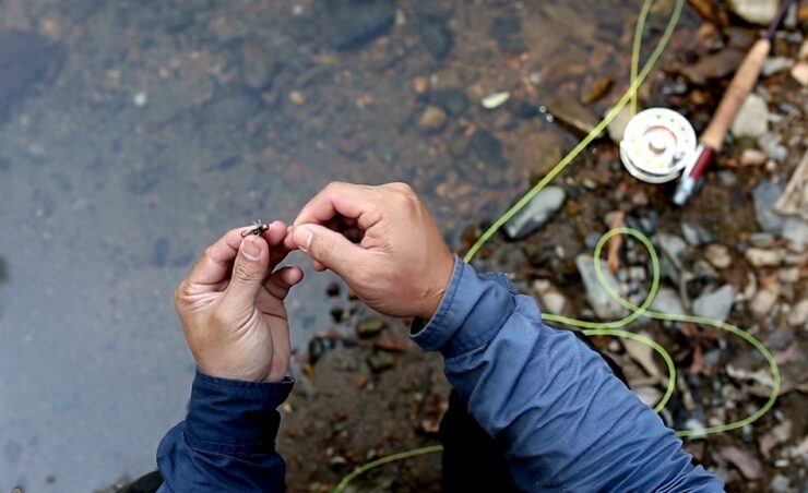 Dry Flies VS Wet Flies