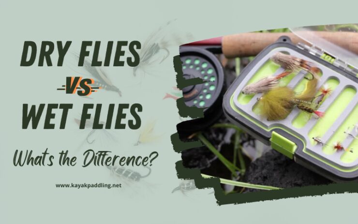 Dry Flies VS Wet Flies