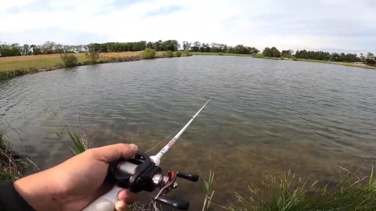 Factors To Be Considered While Buying Best Baitcasting Reel Under $150 Ball Bearings