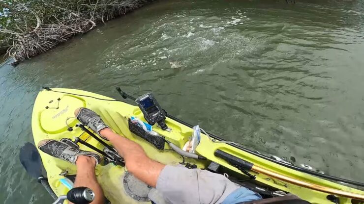 Kayak Fishing