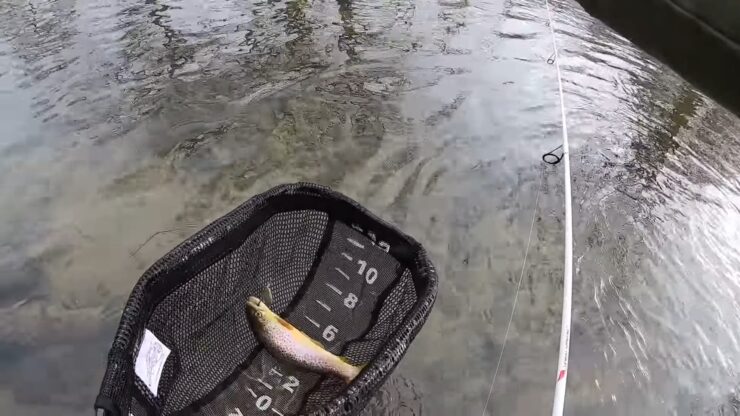 Right Time for Winter Fishing