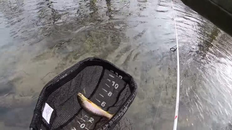 Momento adecuado para la pesca de invierno