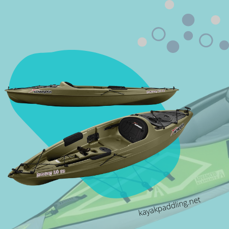 Sun Dolphin Journey