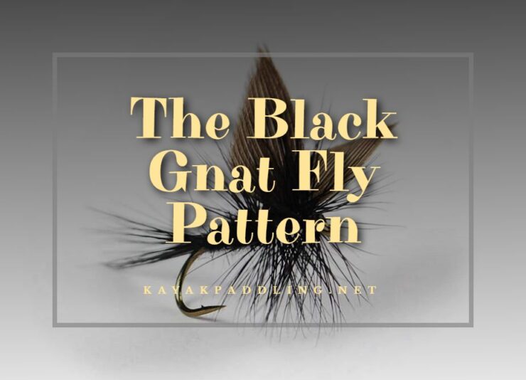 Black Gnat Fly Pattern
