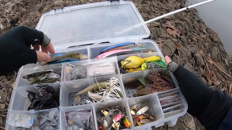 Los cebos adecuados para la pesca de invierno