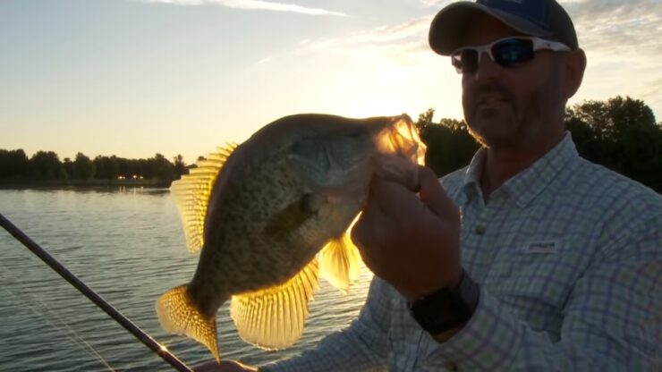 Top 5 Best Crappie Fishing Lakes