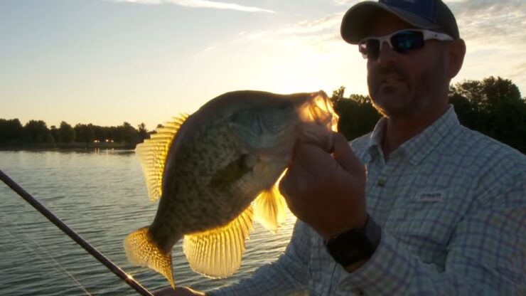 Top 5 Best Crappie Fishing Lakes