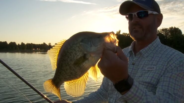 Topp 5 bestu crappie veiðivötnin