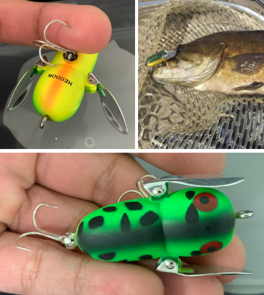 The Heddon Crazy Crawler