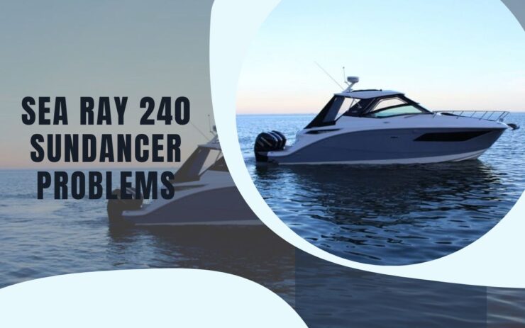 Sea Ray 240 Sundancer Problemer med vores guide