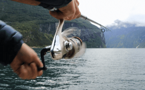Best Fishing Reel for Salmon