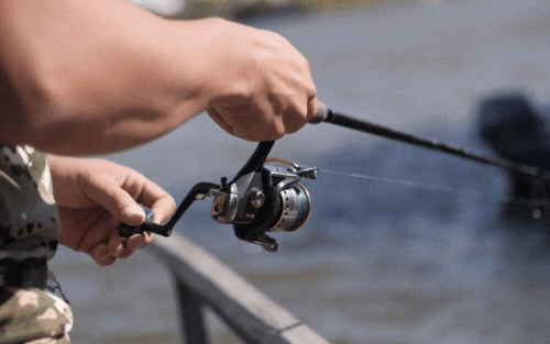 Best Fishing Reel for Salmon