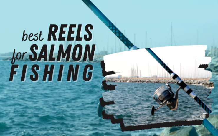 Best Reels For Salmon Fishing