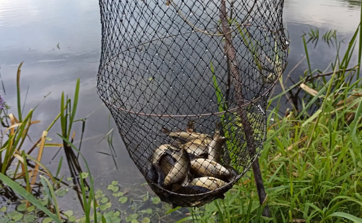 kajakk fiskenett