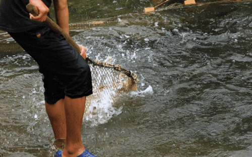 redes de pesca para caiaque
