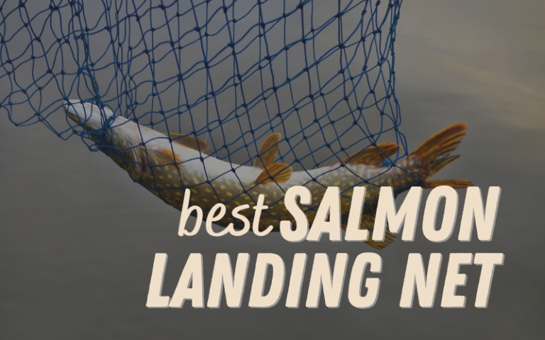 salmon fishing net