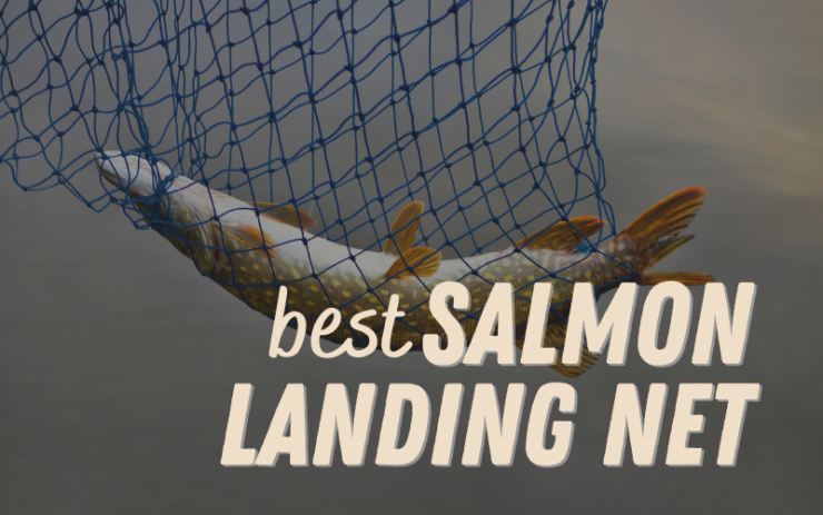 salmon fishing net