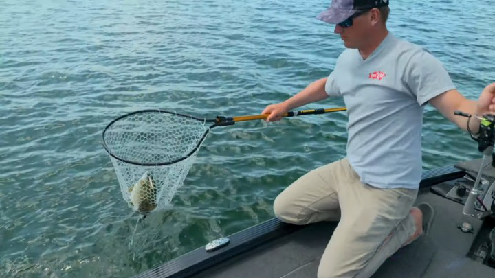 schepnet voor zalm