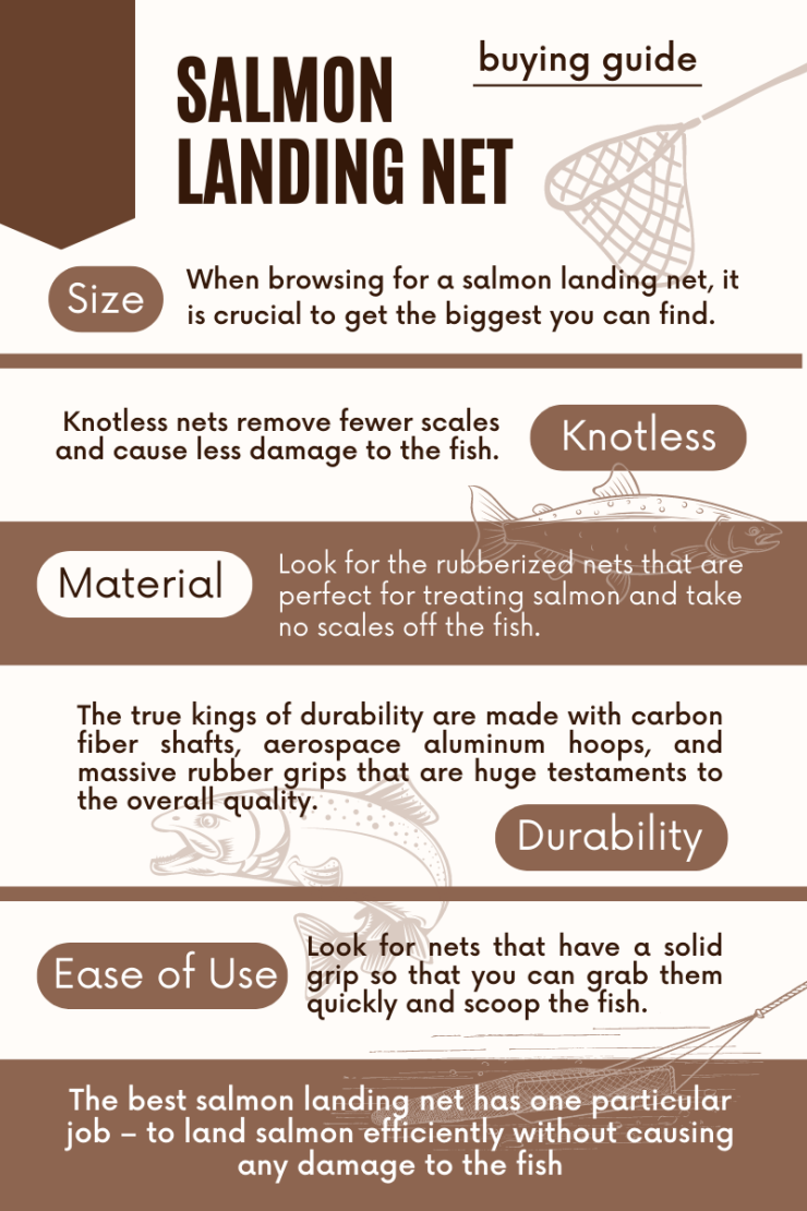 zalm schepnet infographic