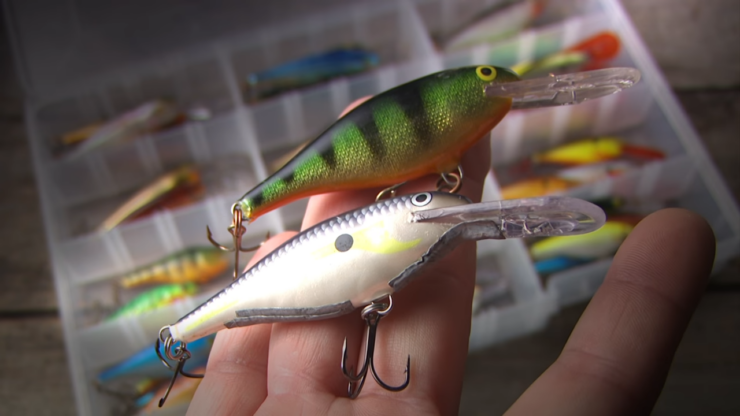 春湖鳟鱼的最佳诱饵