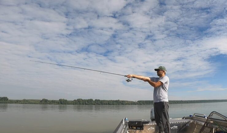 Best Walleye Rods - คู่มือผู้ซื้อ