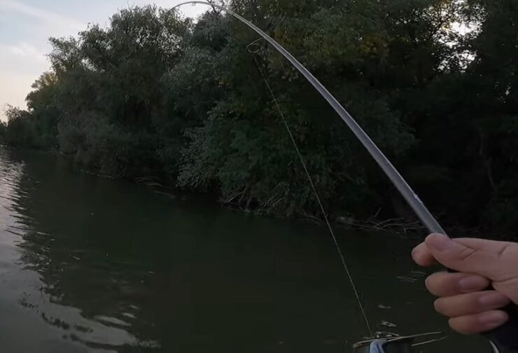Best Walleye Rods - Buyer's Guide Power