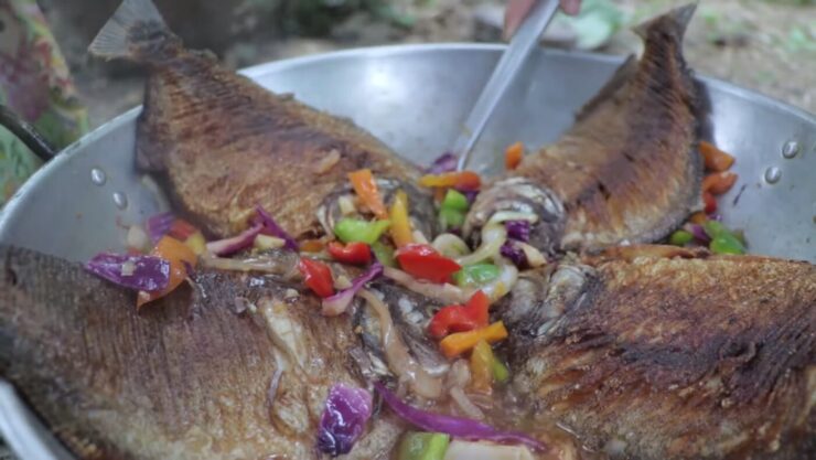 Você pode comer peixe piranha - receita