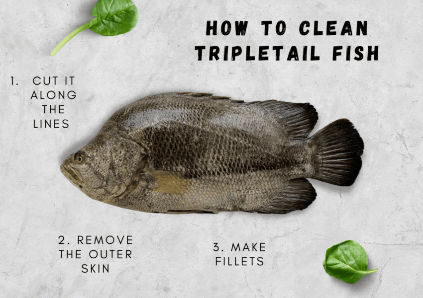 วิธีทำความสะอาดปลาสามหาง
