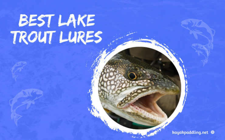Lake Trout Lures fish