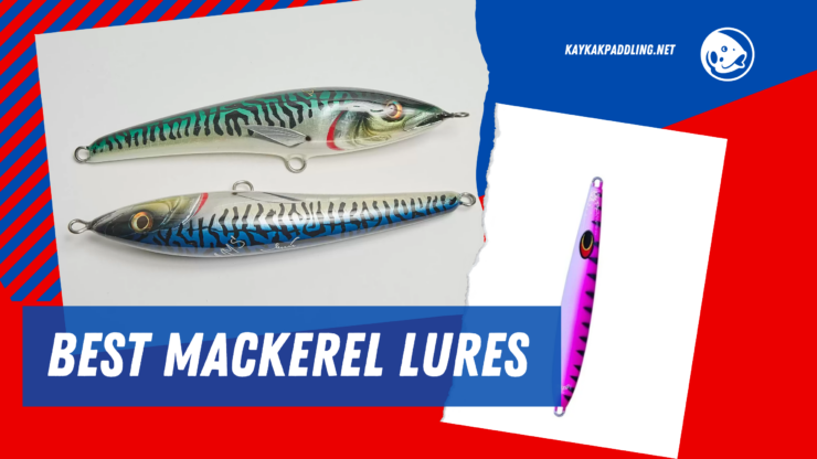 Mackerel Lures Top Picks
