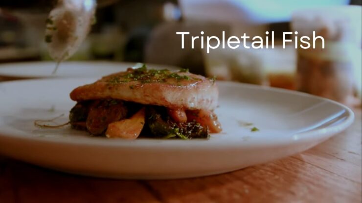 Roasted Tripletail taste