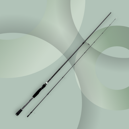 Spinning Rods