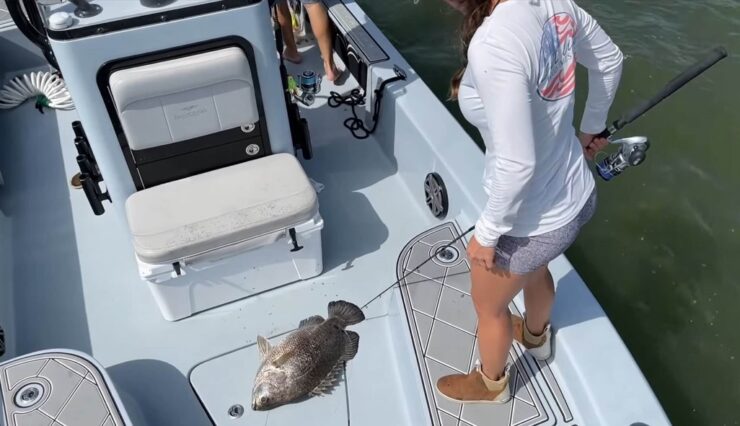 Tripletail VANGST