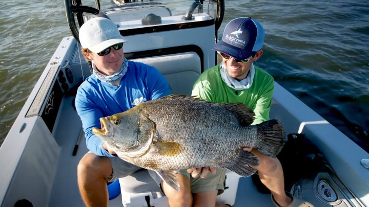 peixe cauda tripla