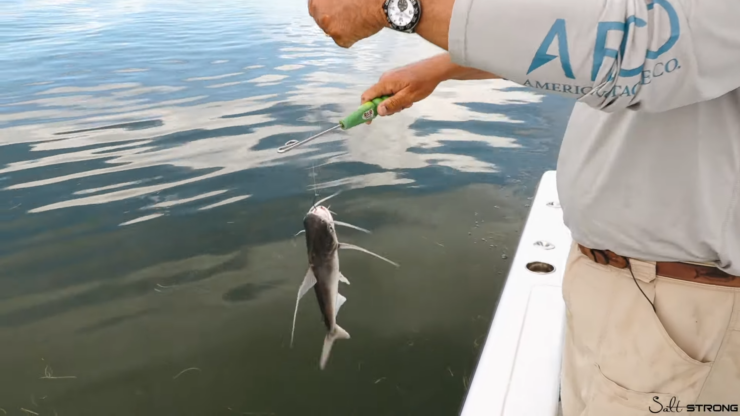 best Fish Hook Remover