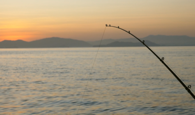 Batang terbaik untuk Memancing Trout