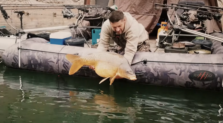 ghost Carp Fish 