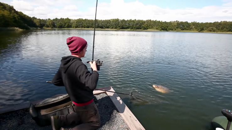 Pêche à la carpe