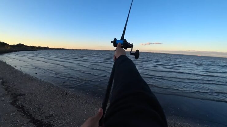 Buying Guide on the Best Conventional Reels for Bottom Fishing - Drag