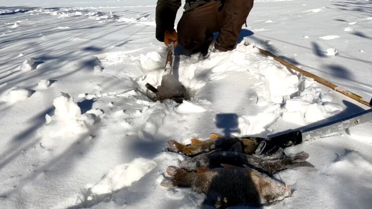 Fishing in the Winter - Use the Sunshine