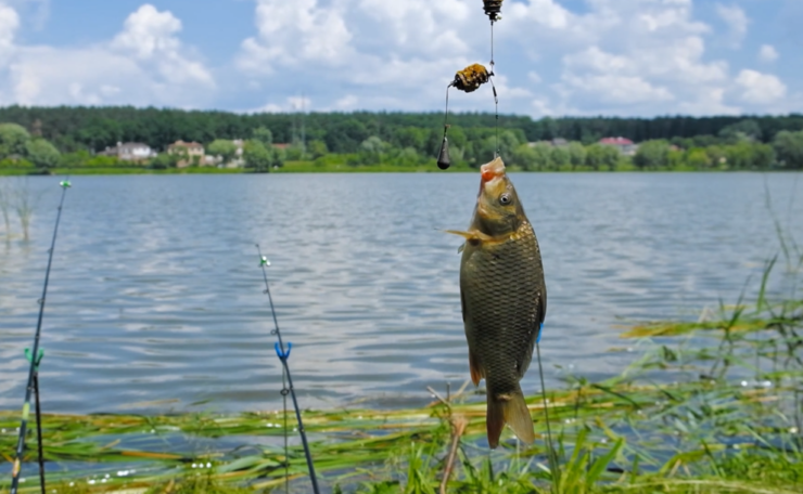 Aparejos de pesca MÁS efectivos