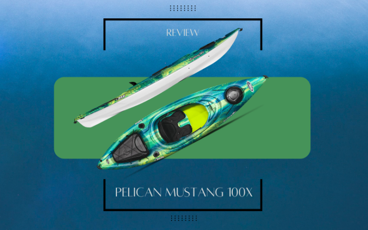 Pelikaan Mustang 100x