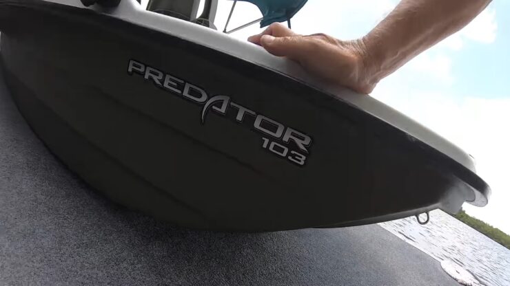 Pelicano Predador 103