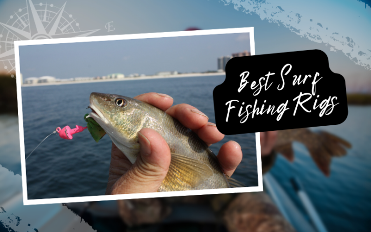 Top Surf Fishing Rigs Review