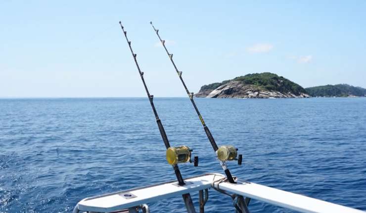 best performing reel for deep fishing